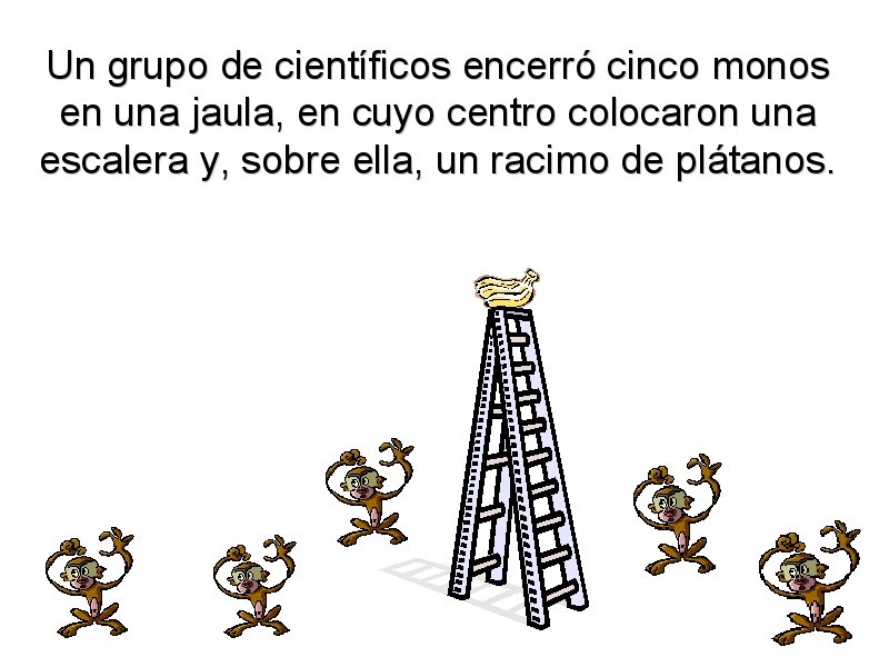 Un grupo de científicos encerró cinco monos en una jaula, en cuyo centro colocaron una escalera y, sobre ella, un racimo de plátanos.